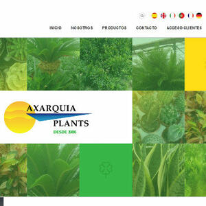 Axarquia Plants